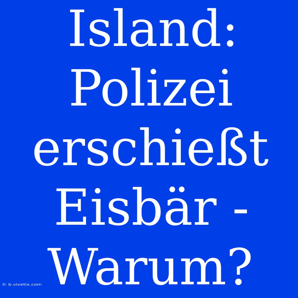 Island: Polizei Erschießt Eisbär - Warum?