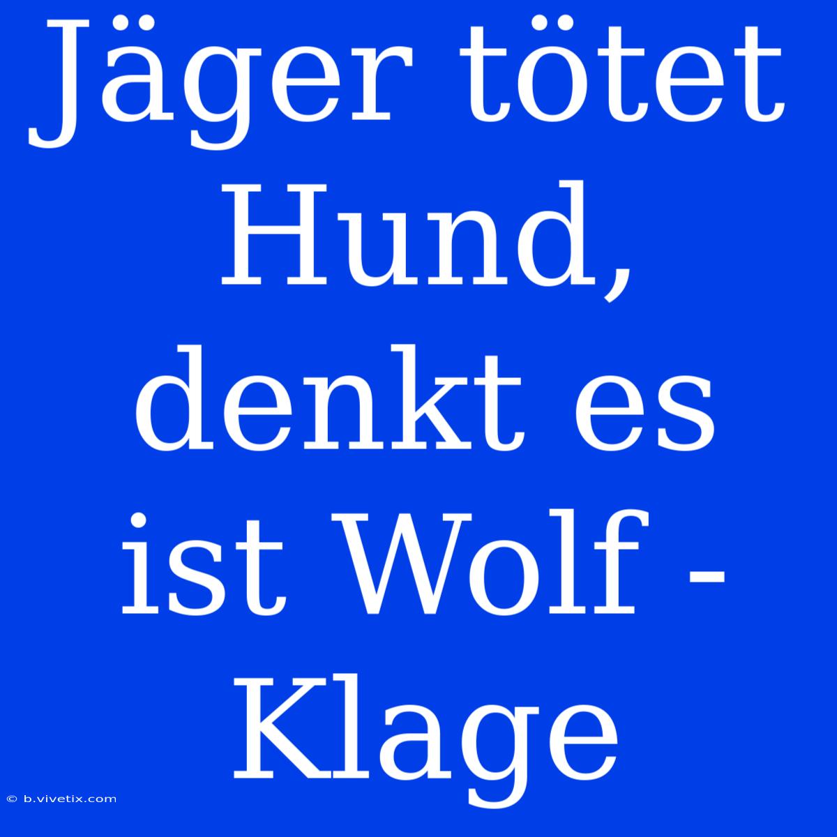 Jäger Tötet Hund, Denkt Es Ist Wolf - Klage