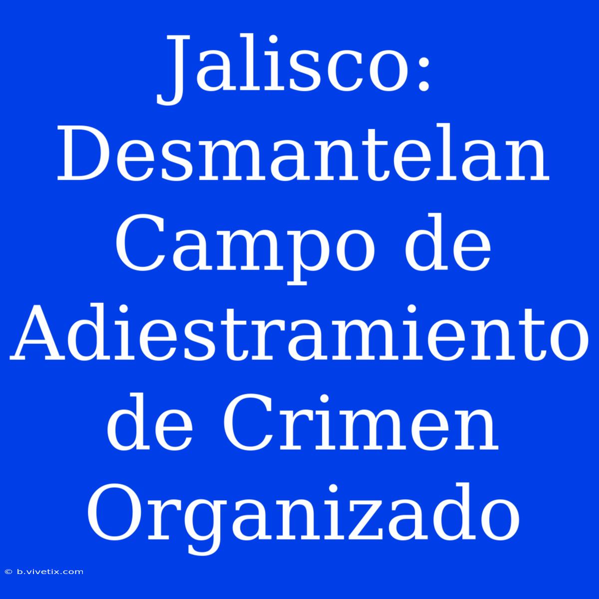 Jalisco: Desmantelan Campo De Adiestramiento De Crimen Organizado