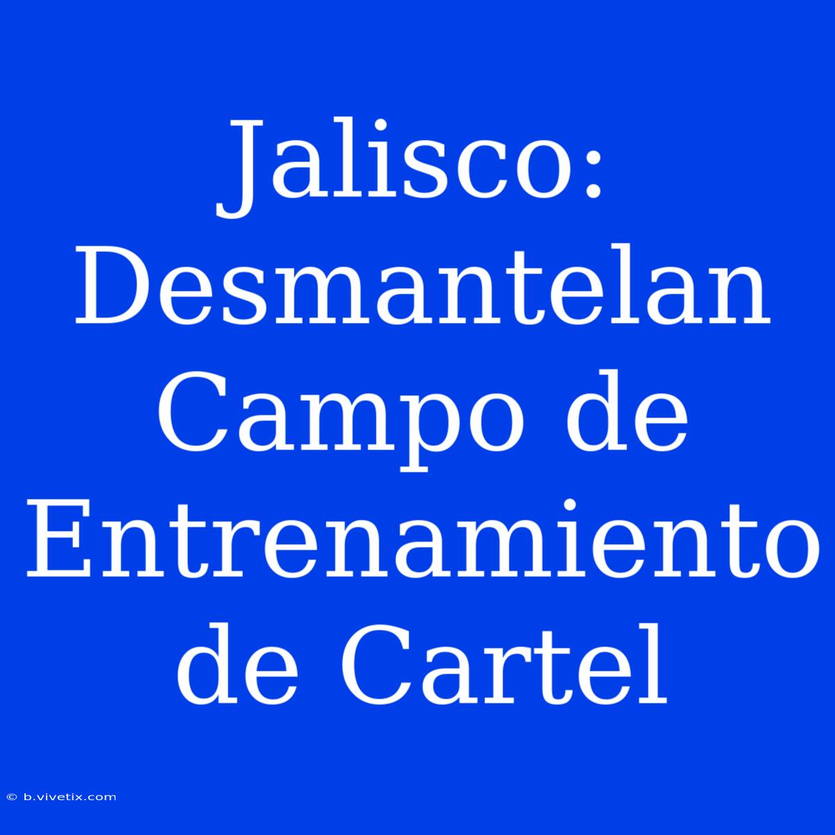 Jalisco: Desmantelan Campo De Entrenamiento De Cartel 