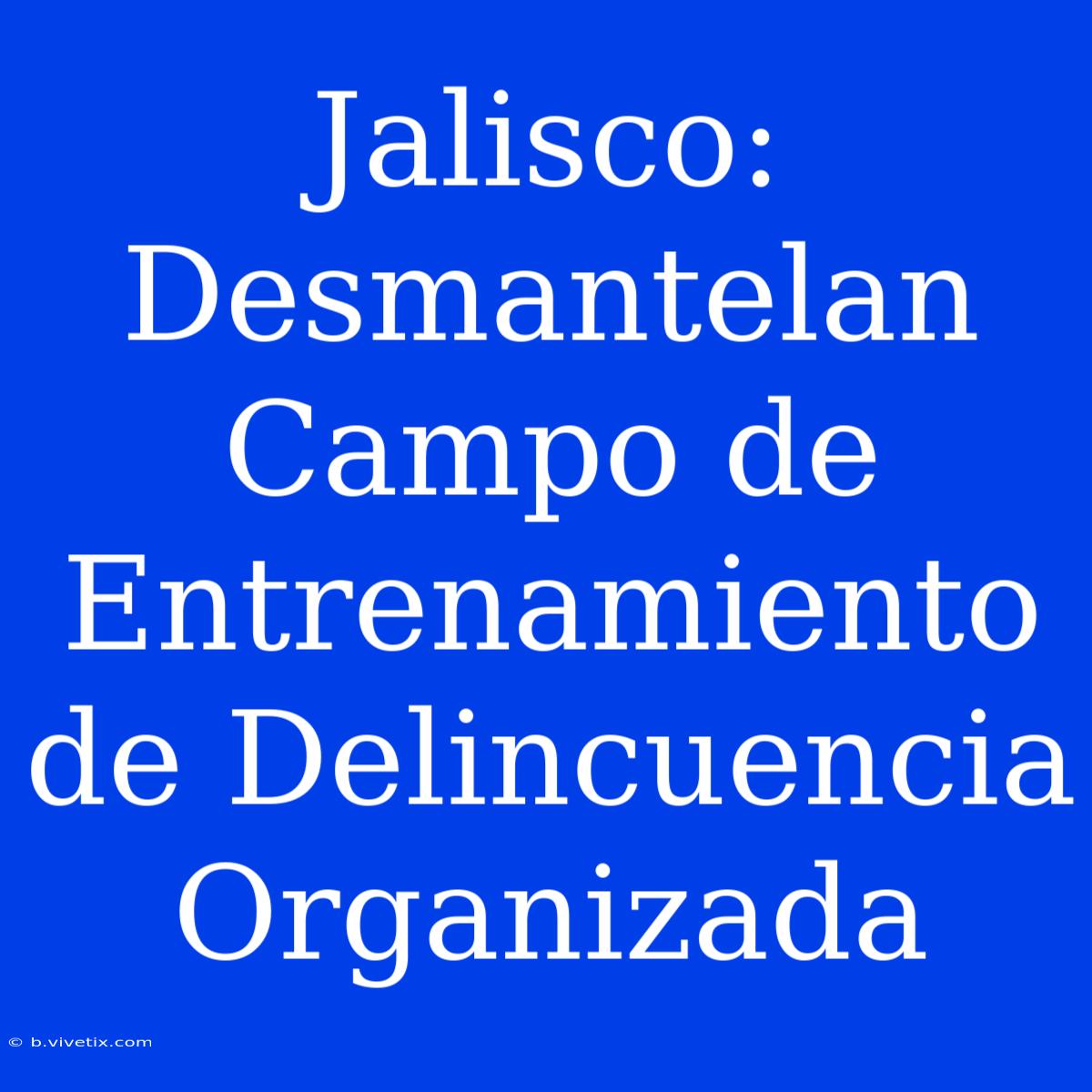 Jalisco: Desmantelan Campo De Entrenamiento De Delincuencia Organizada