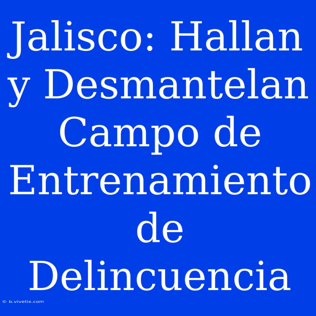 Jalisco: Hallan Y Desmantelan Campo De Entrenamiento De Delincuencia