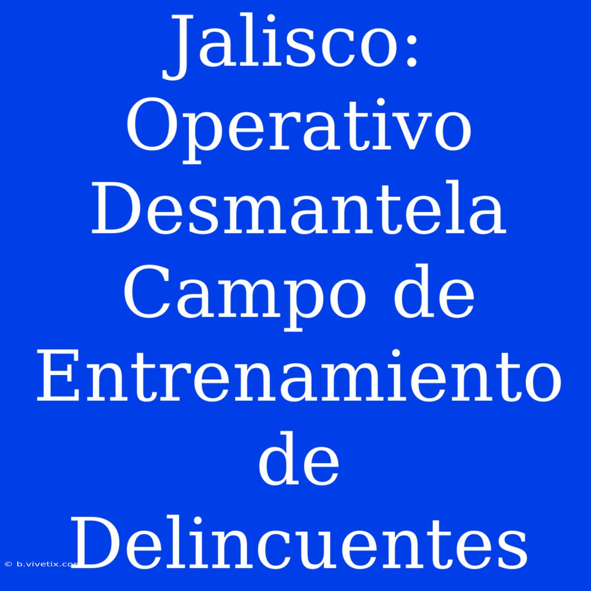 Jalisco: Operativo Desmantela Campo De Entrenamiento De Delincuentes 