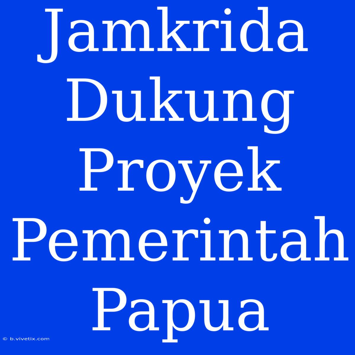 Jamkrida Dukung Proyek Pemerintah Papua