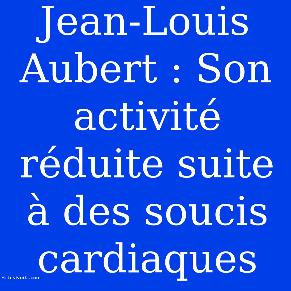 Jean-Louis Aubert : Son Activité Réduite Suite À Des Soucis Cardiaques