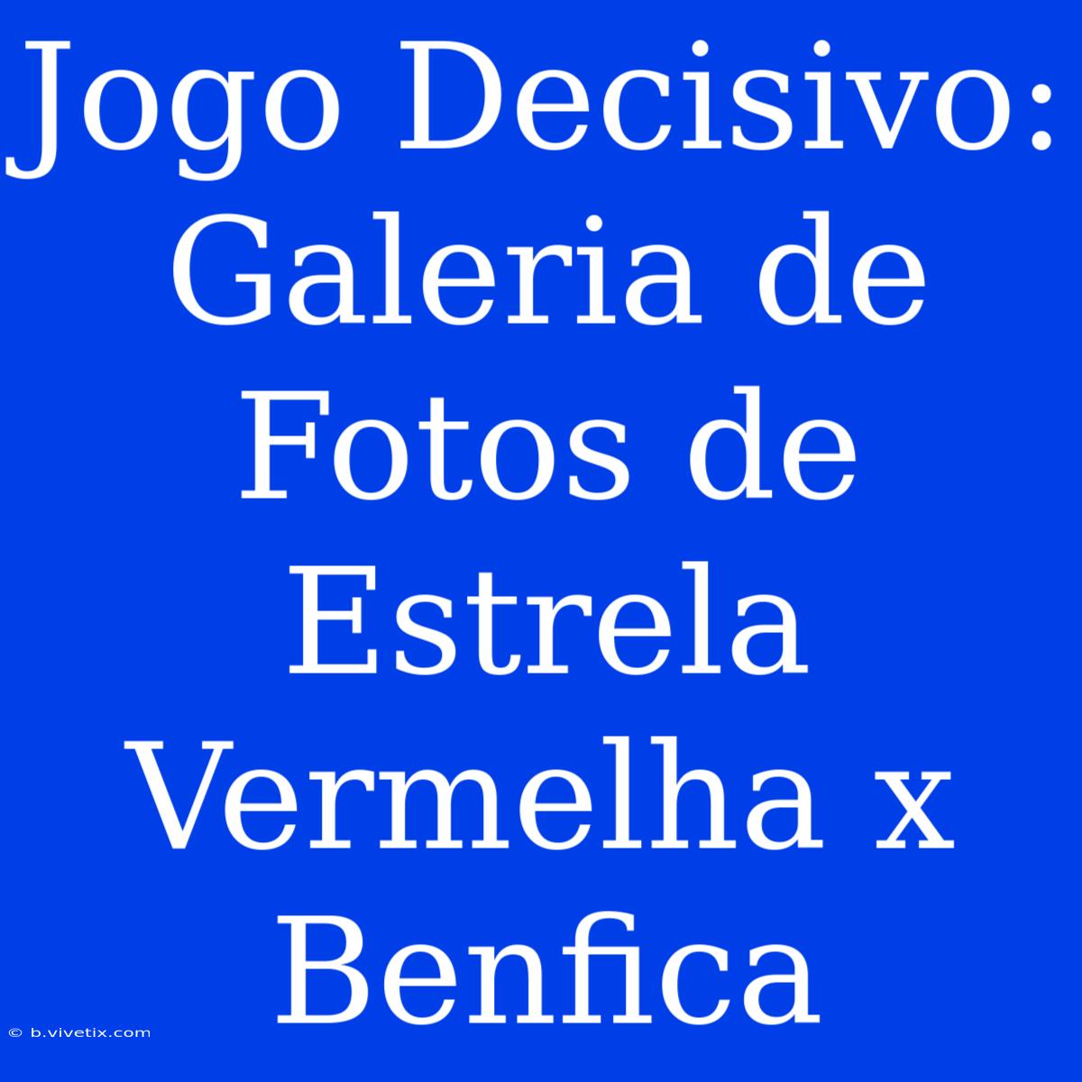 Jogo Decisivo: Galeria De Fotos De Estrela Vermelha X Benfica