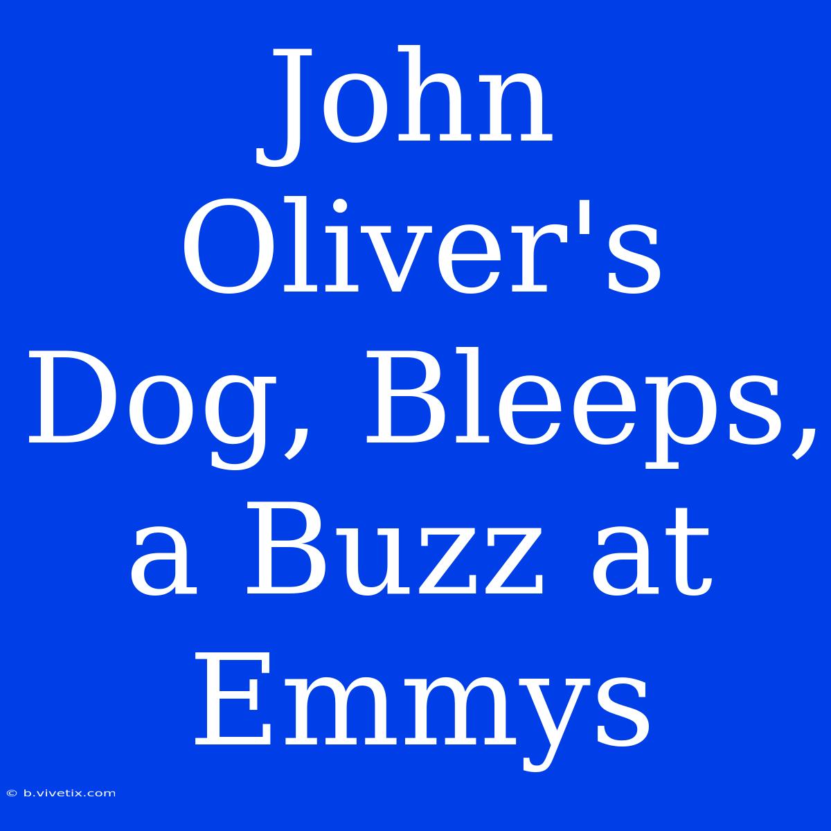 John Oliver's Dog, Bleeps, A Buzz At Emmys