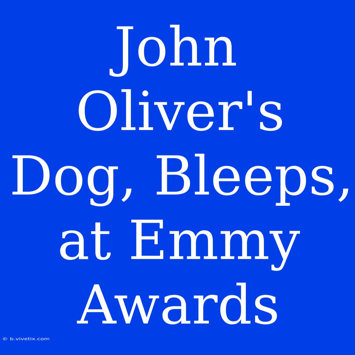 John Oliver's Dog, Bleeps, At Emmy Awards