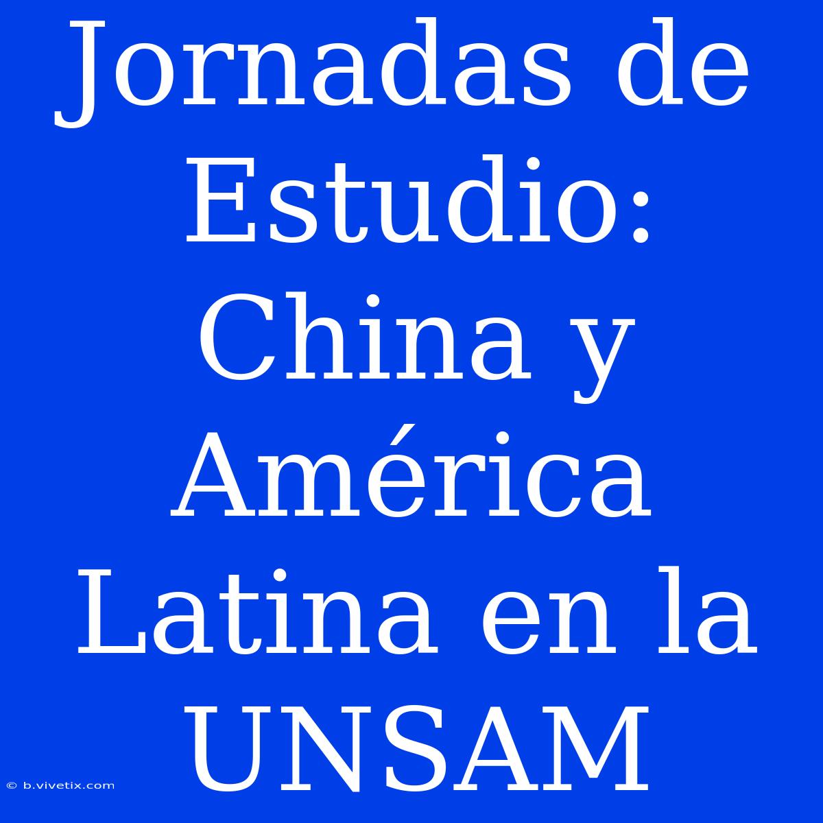 Jornadas De Estudio: China Y América Latina En La UNSAM