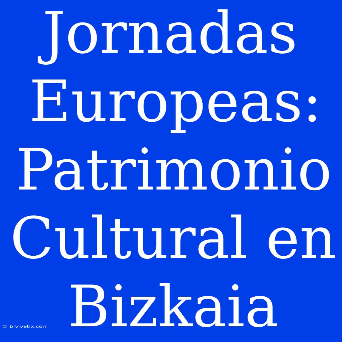 Jornadas Europeas: Patrimonio Cultural En Bizkaia