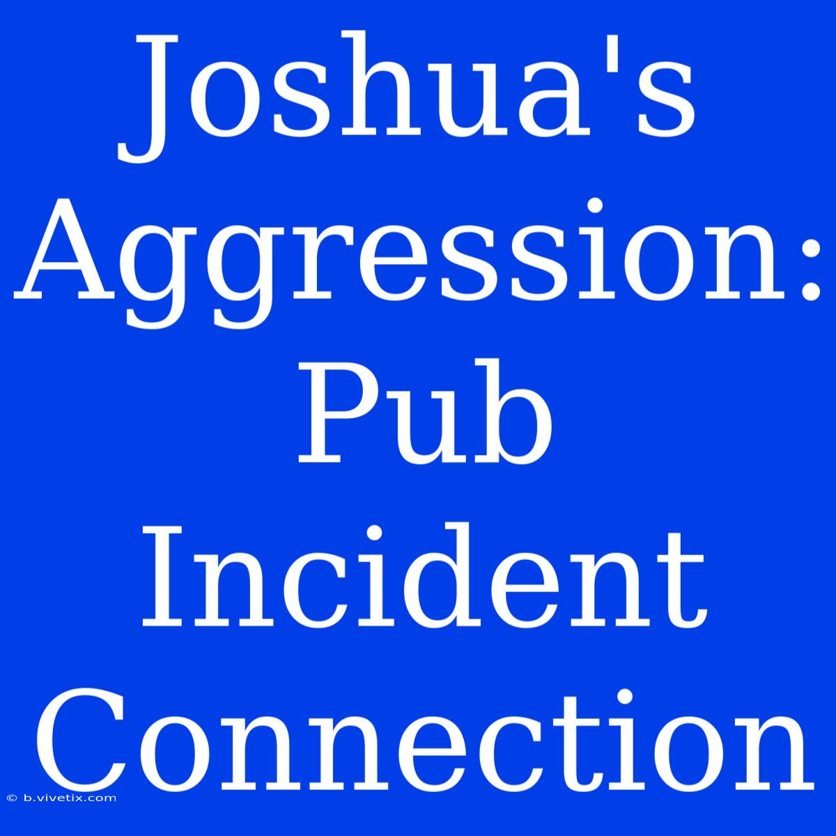 Joshua's Aggression: Pub Incident Connection 