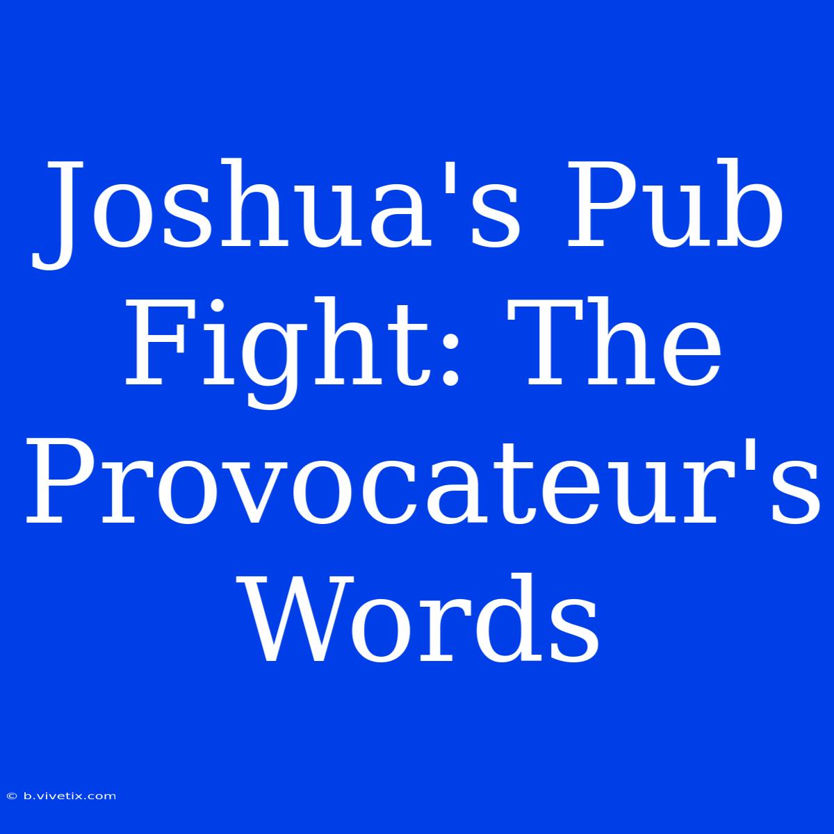 Joshua's Pub Fight: The Provocateur's Words