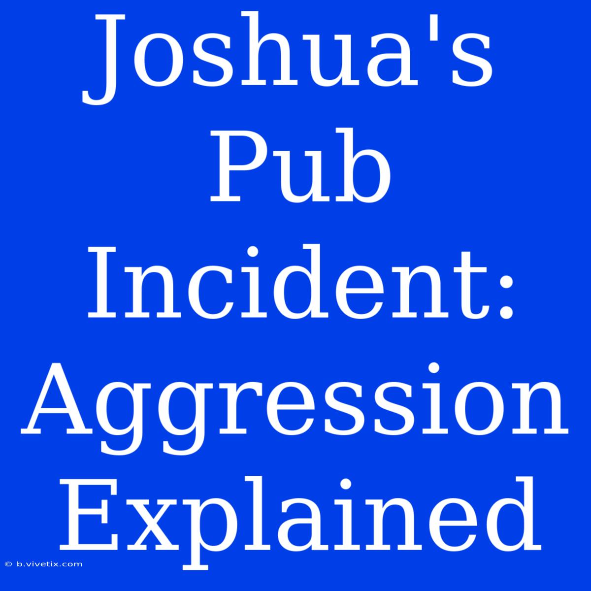 Joshua's Pub Incident: Aggression Explained