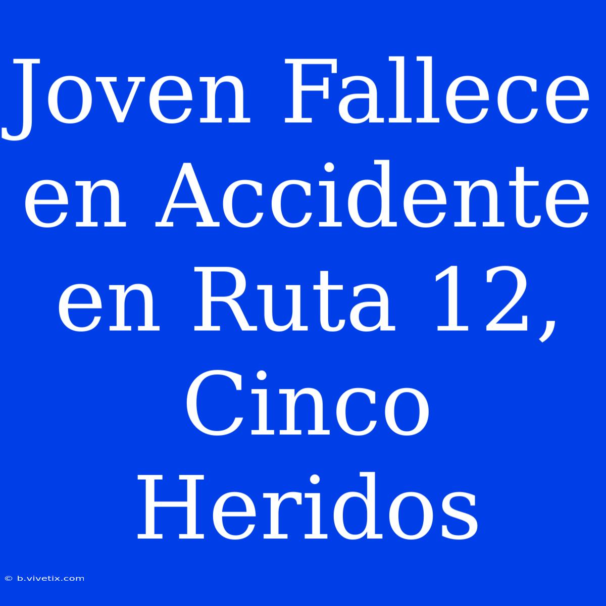 Joven Fallece En Accidente En Ruta 12, Cinco Heridos