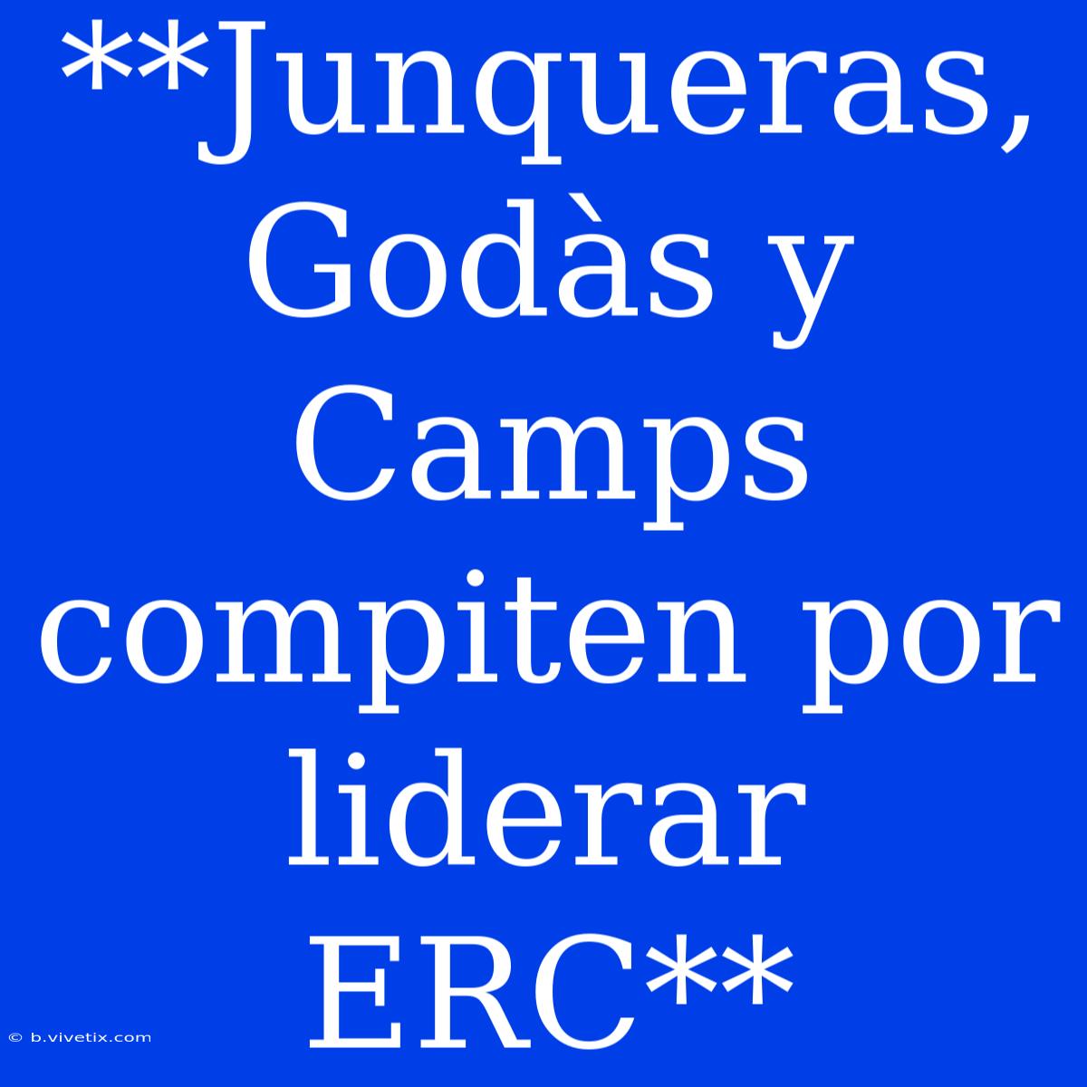 **Junqueras, Godàs Y Camps Compiten Por Liderar ERC**