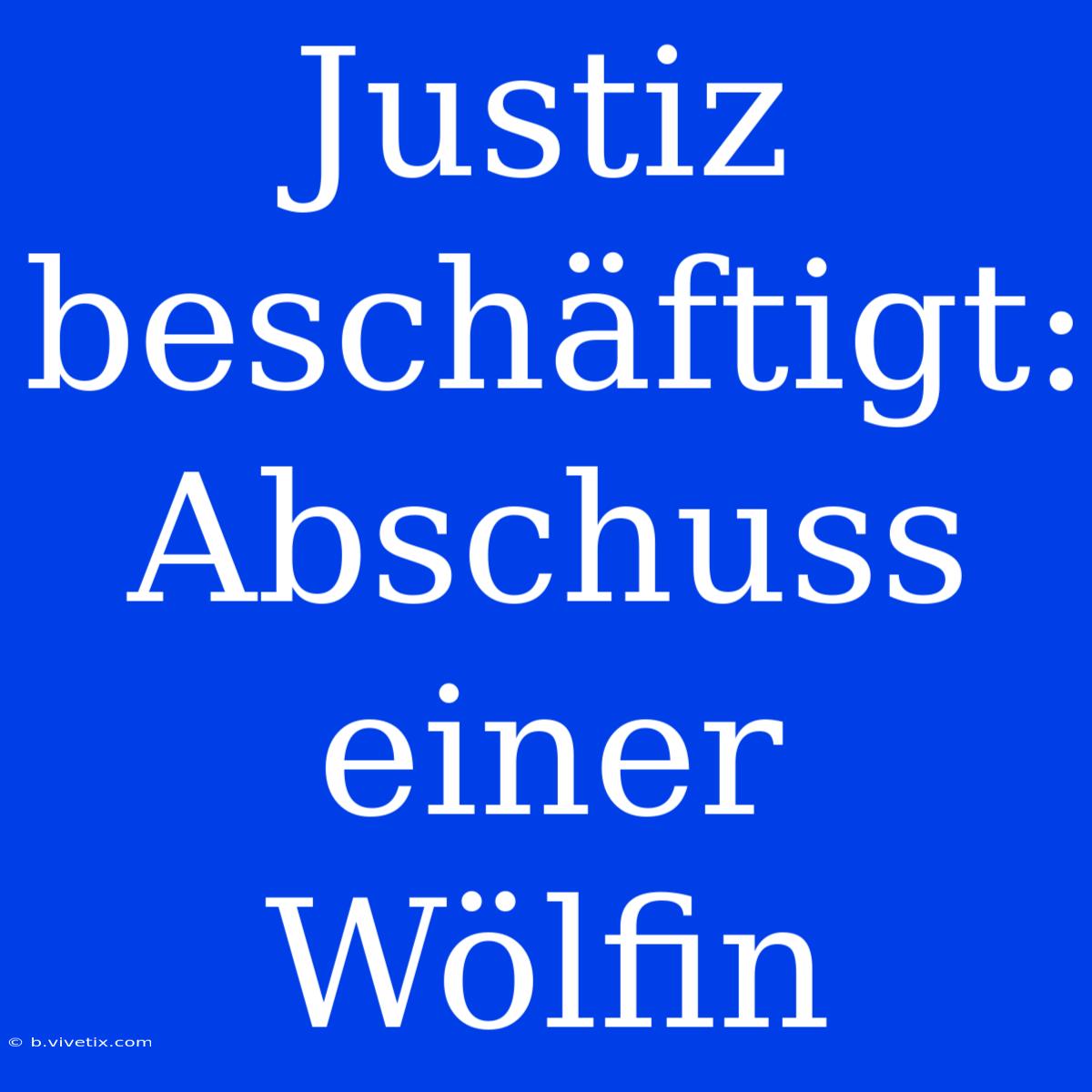 Justiz Beschäftigt: Abschuss Einer Wölfin