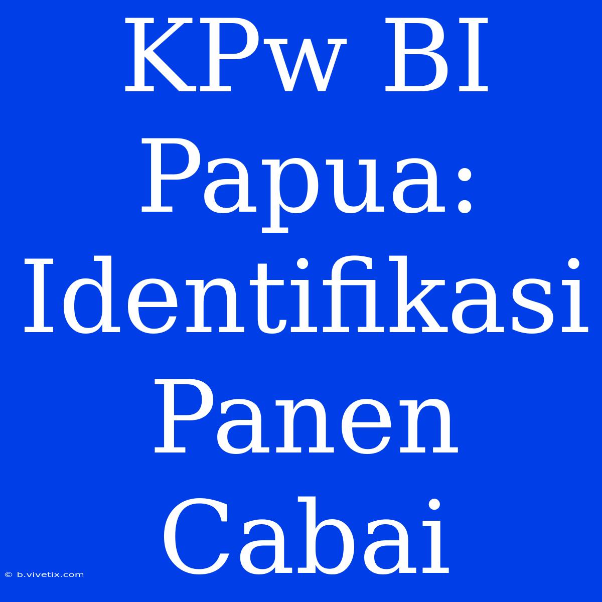 KPw BI Papua: Identifikasi Panen Cabai