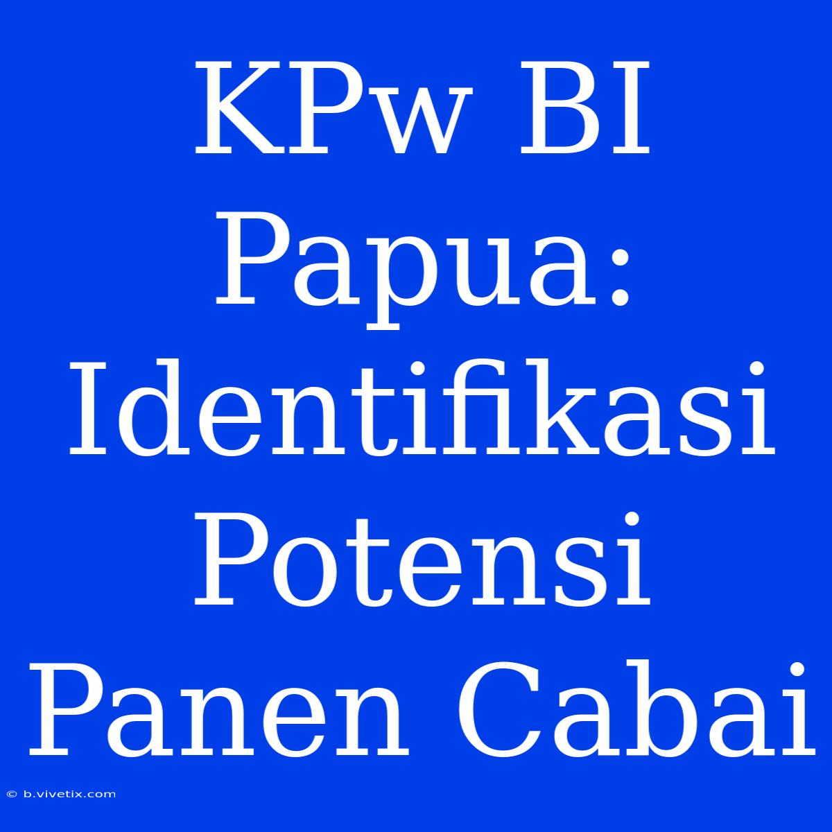 KPw BI Papua: Identifikasi Potensi Panen Cabai