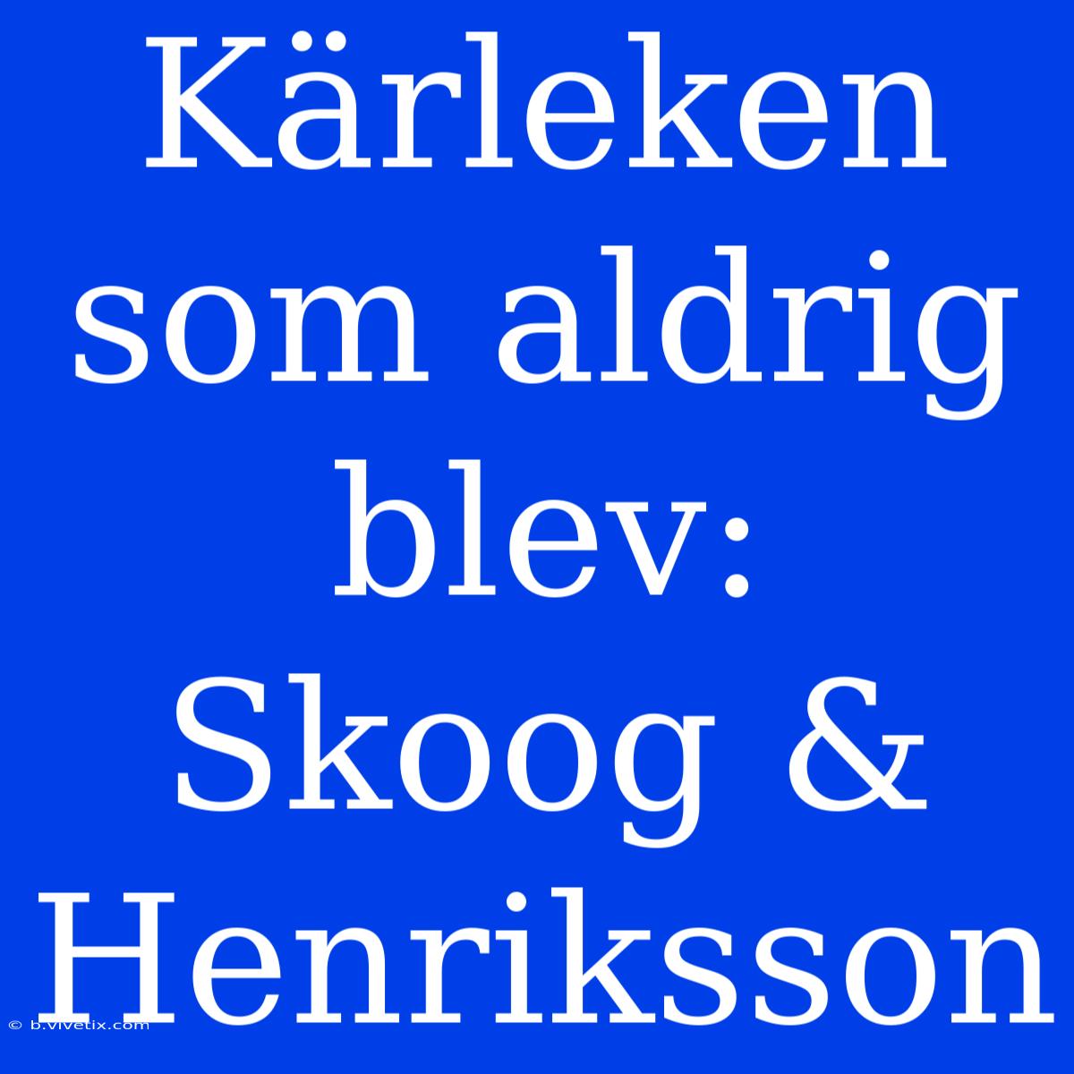 Kärleken Som Aldrig Blev: Skoog & Henriksson