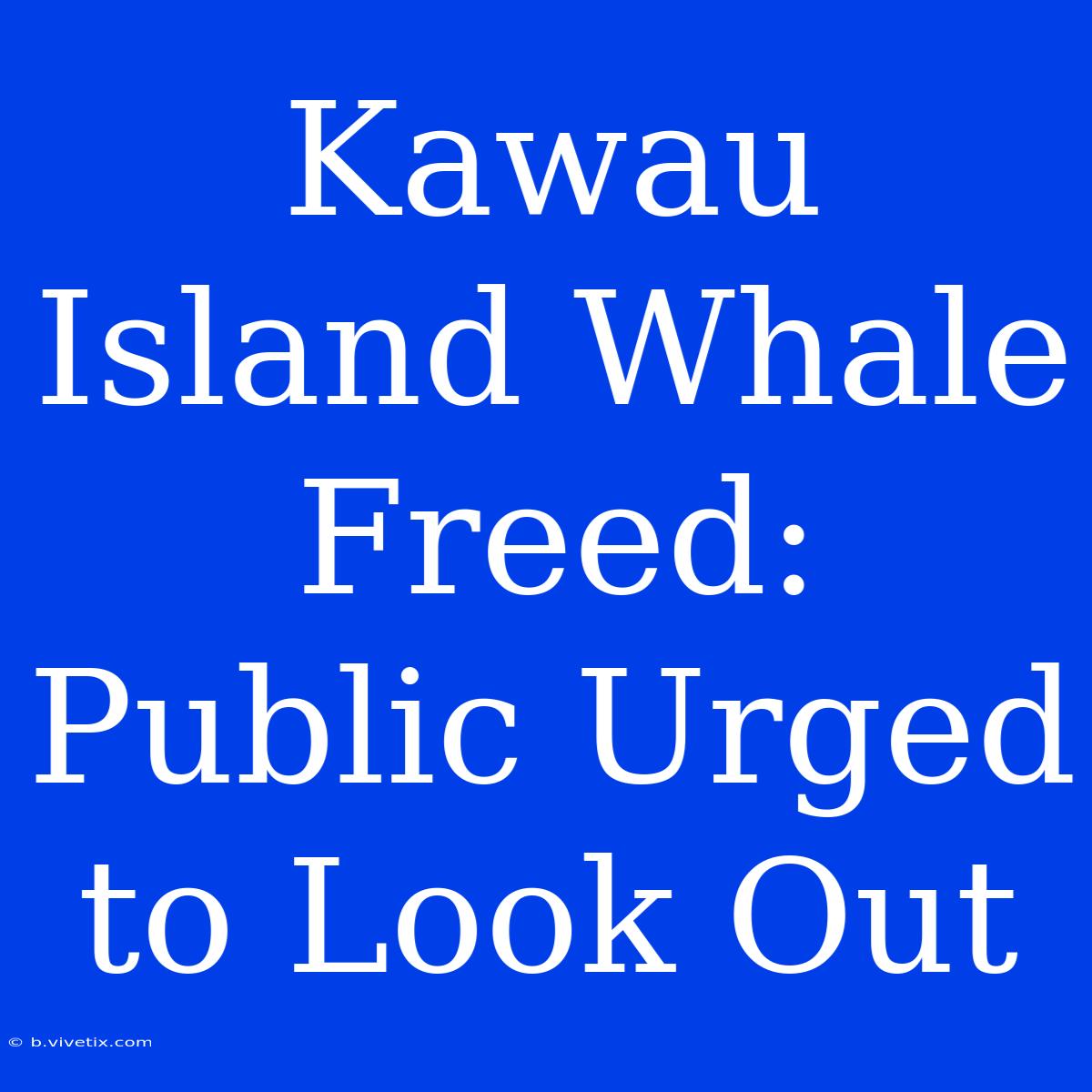 Kawau Island Whale Freed: Public Urged To Look Out