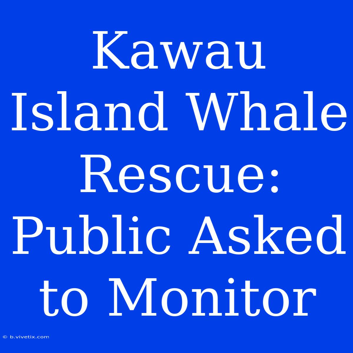 Kawau Island Whale Rescue: Public Asked To Monitor