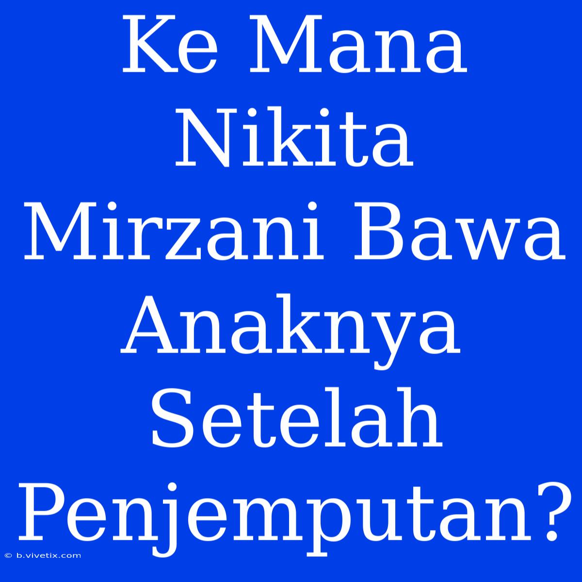 Ke Mana Nikita Mirzani Bawa Anaknya Setelah Penjemputan?