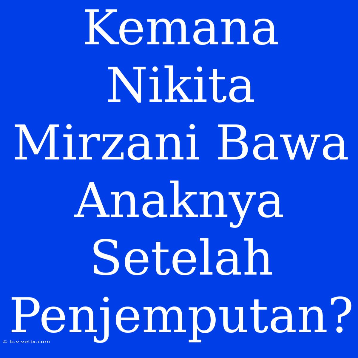 Kemana Nikita Mirzani Bawa Anaknya Setelah Penjemputan?