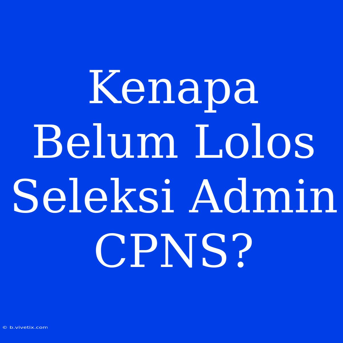 Kenapa Belum Lolos Seleksi Admin CPNS?