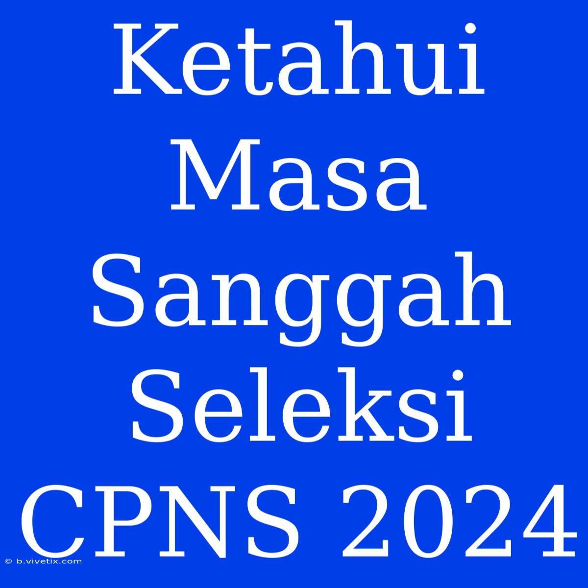 Ketahui Masa Sanggah Seleksi CPNS 2024