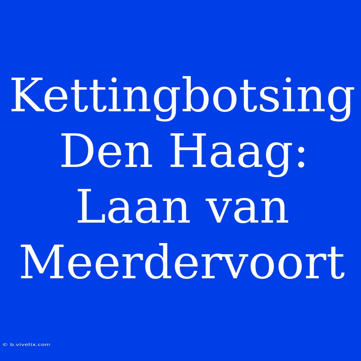 Kettingbotsing Den Haag: Laan Van Meerdervoort