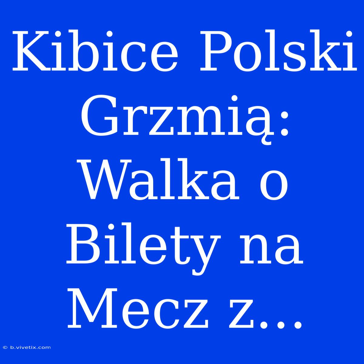 Kibice Polski Grzmią: Walka O Bilety Na Mecz Z...