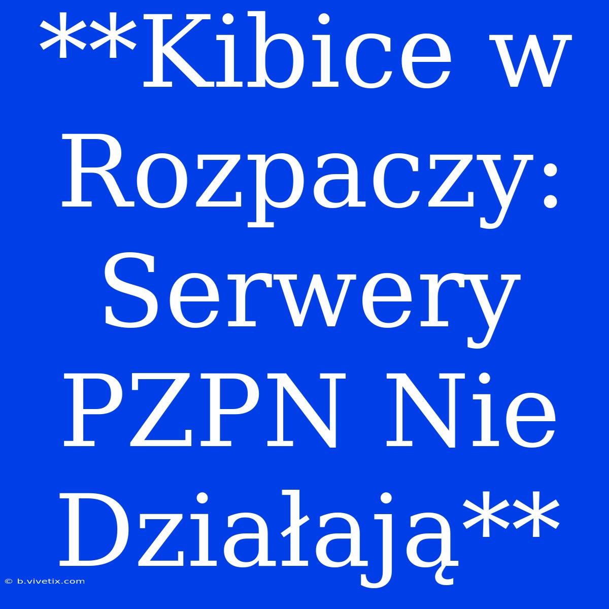 **Kibice W Rozpaczy: Serwery PZPN Nie Działają**