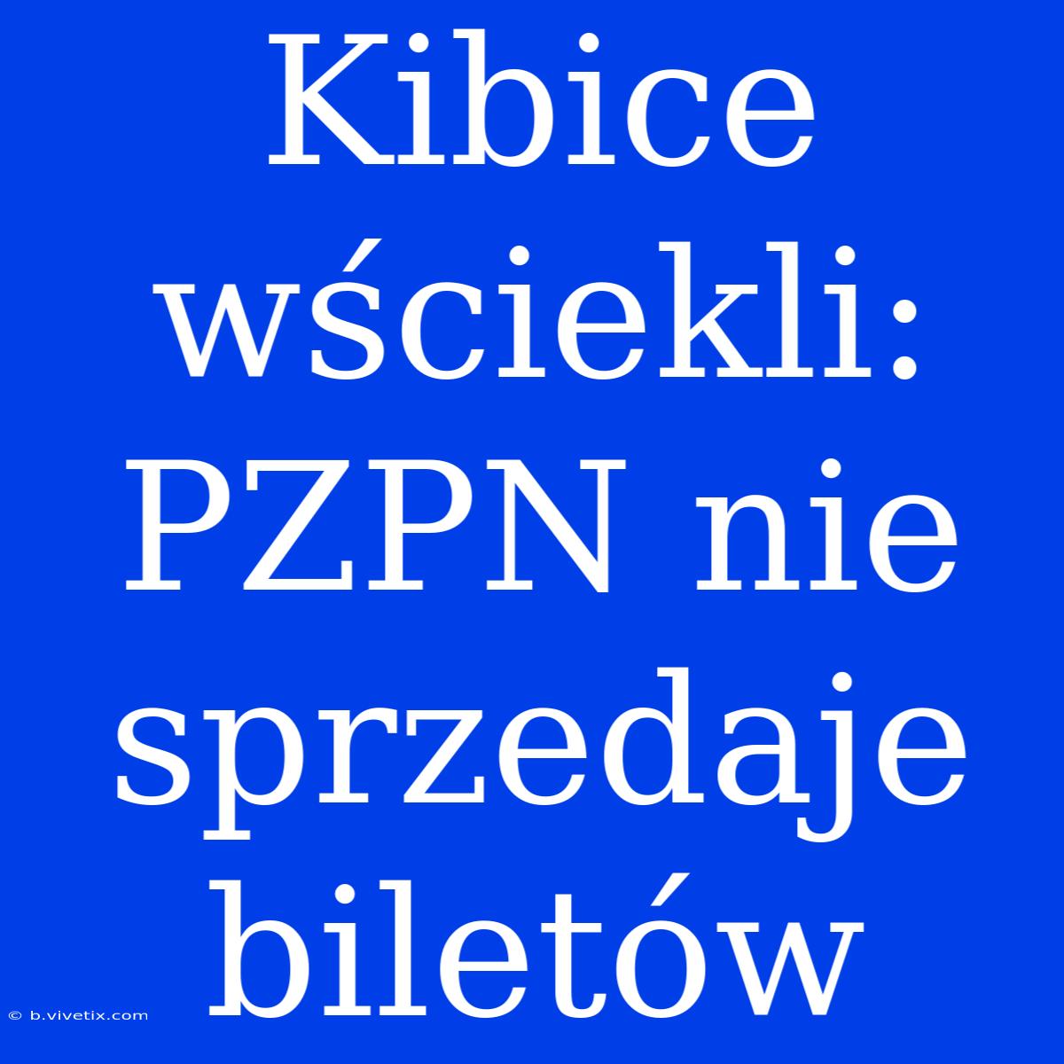 Kibice Wściekli: PZPN Nie Sprzedaje Biletów