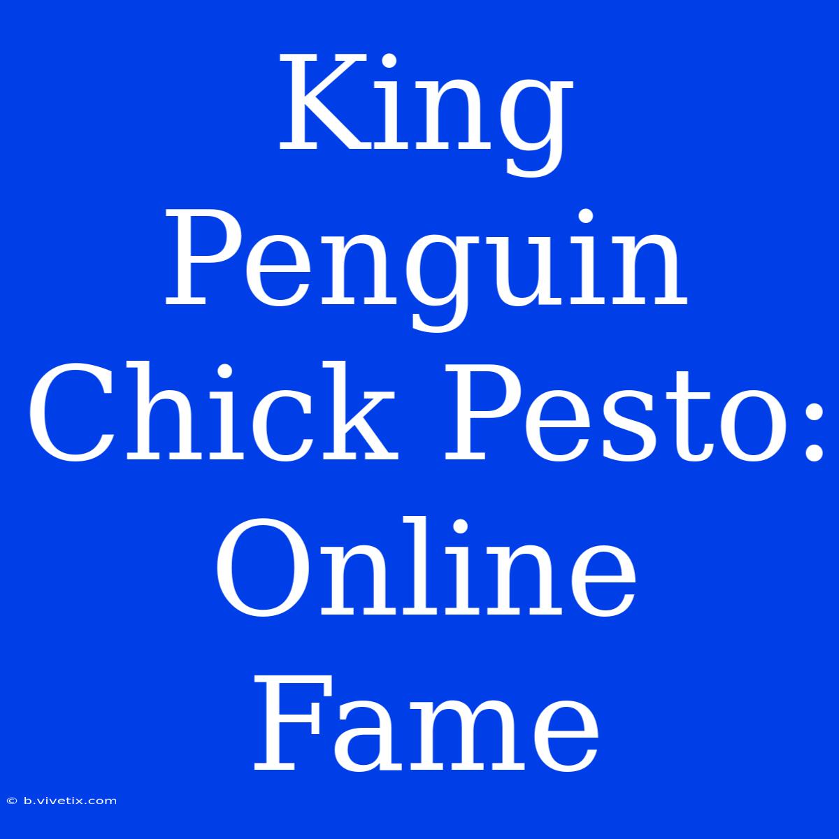 King Penguin Chick Pesto:  Online Fame 