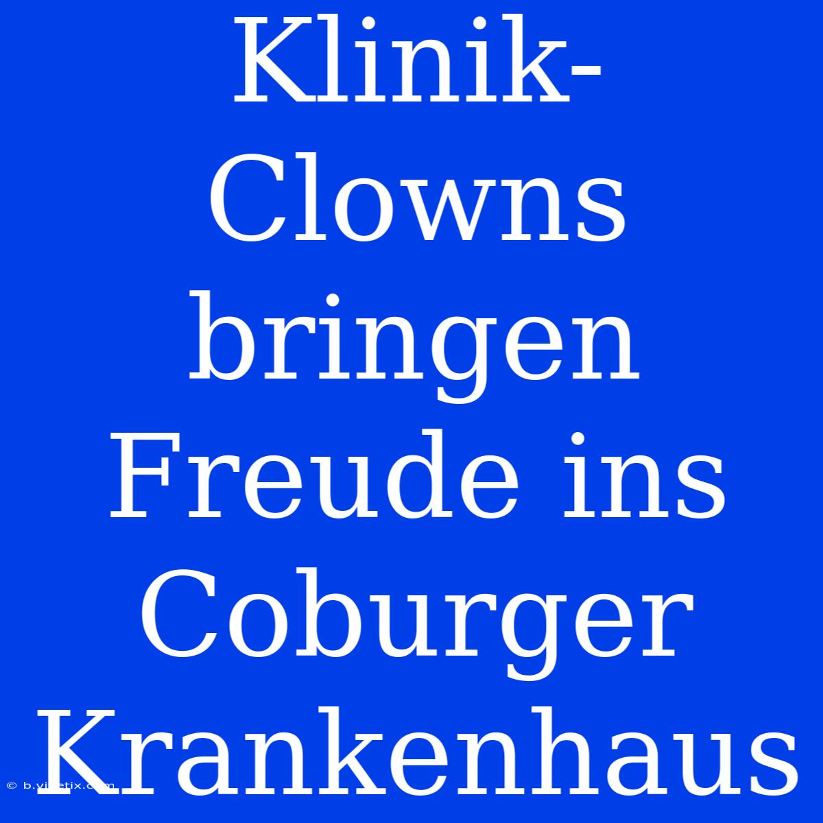 Klinik-Clowns Bringen Freude Ins Coburger Krankenhaus