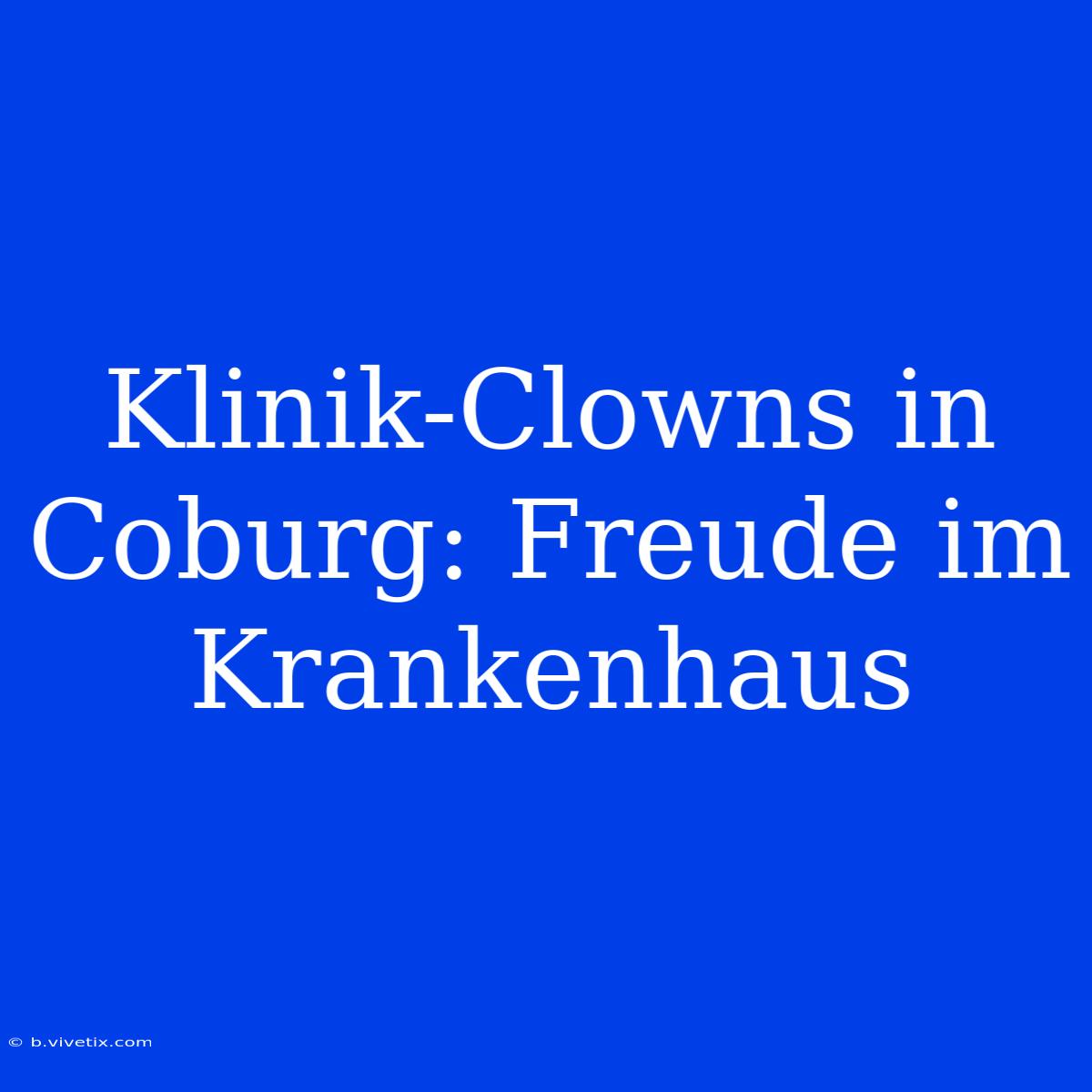 Klinik-Clowns In Coburg: Freude Im Krankenhaus