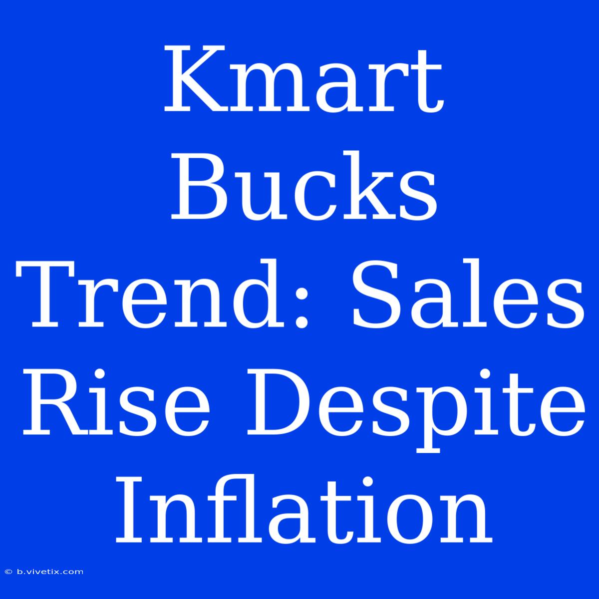 Kmart Bucks Trend: Sales Rise Despite Inflation