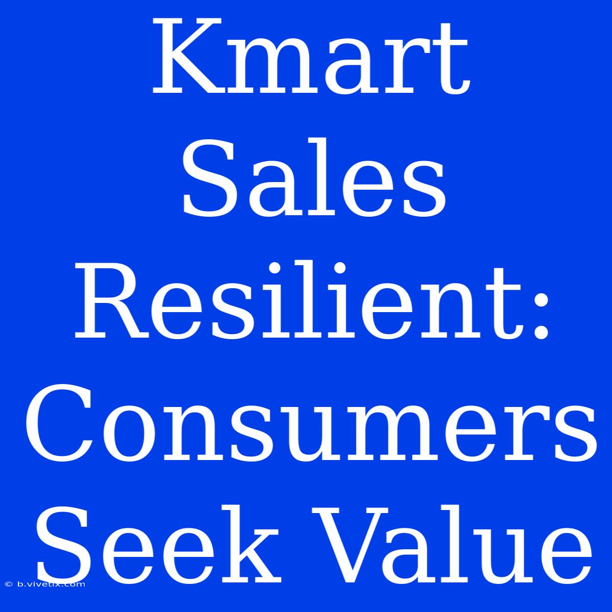 Kmart Sales Resilient: Consumers Seek Value