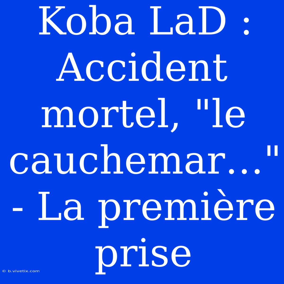 Koba LaD : Accident Mortel, 