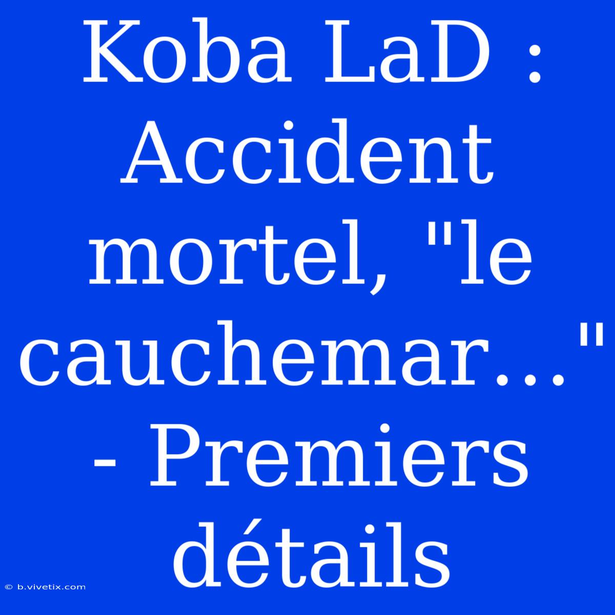 Koba LaD : Accident Mortel, 