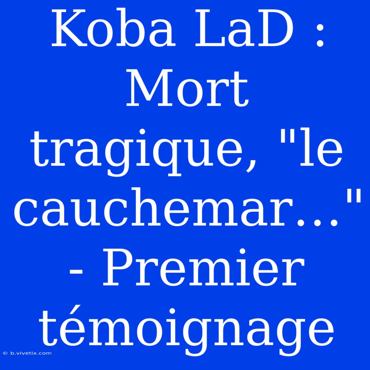 Koba LaD : Mort Tragique, 