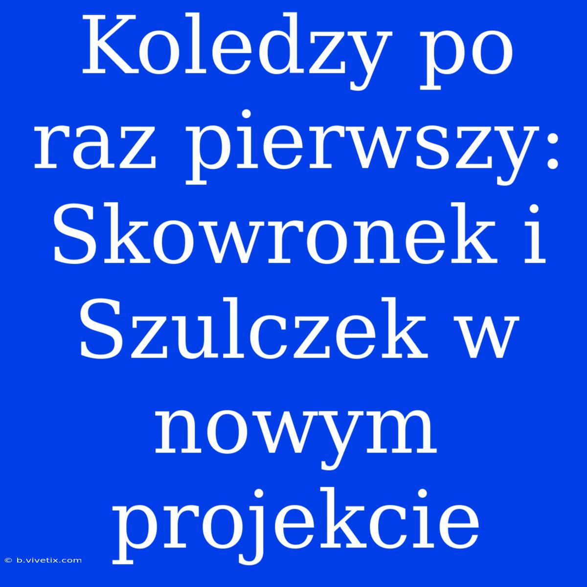 Koledzy Po Raz Pierwszy: Skowronek I Szulczek W Nowym Projekcie