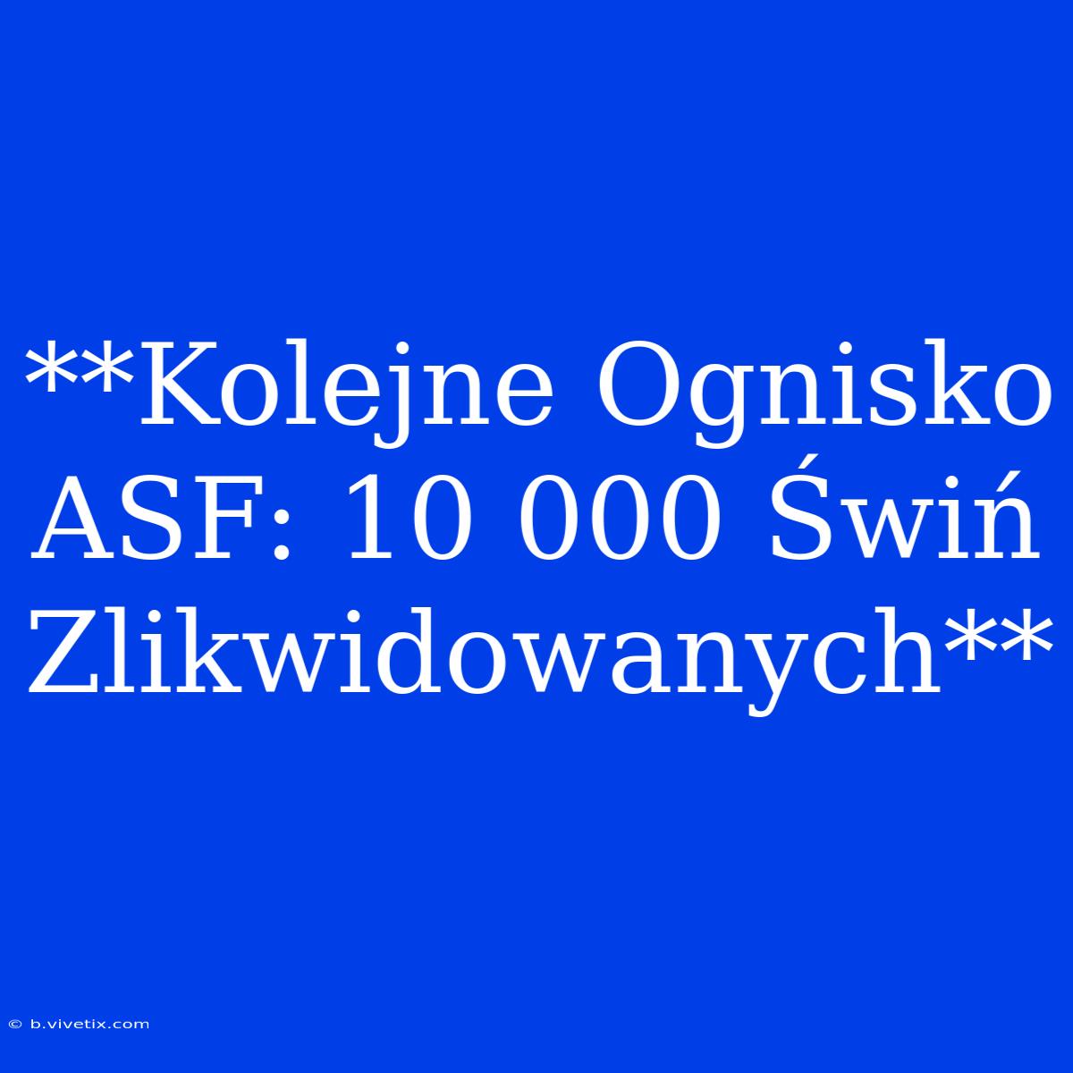 **Kolejne Ognisko ASF: 10 000 Świń Zlikwidowanych**