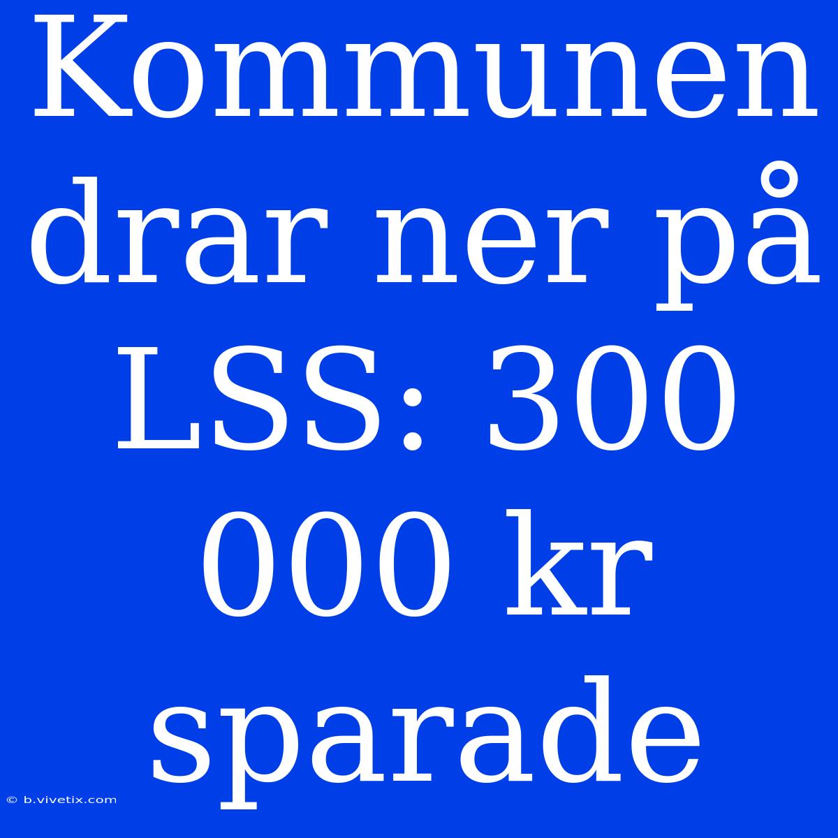 Kommunen Drar Ner På LSS: 300 000 Kr Sparade