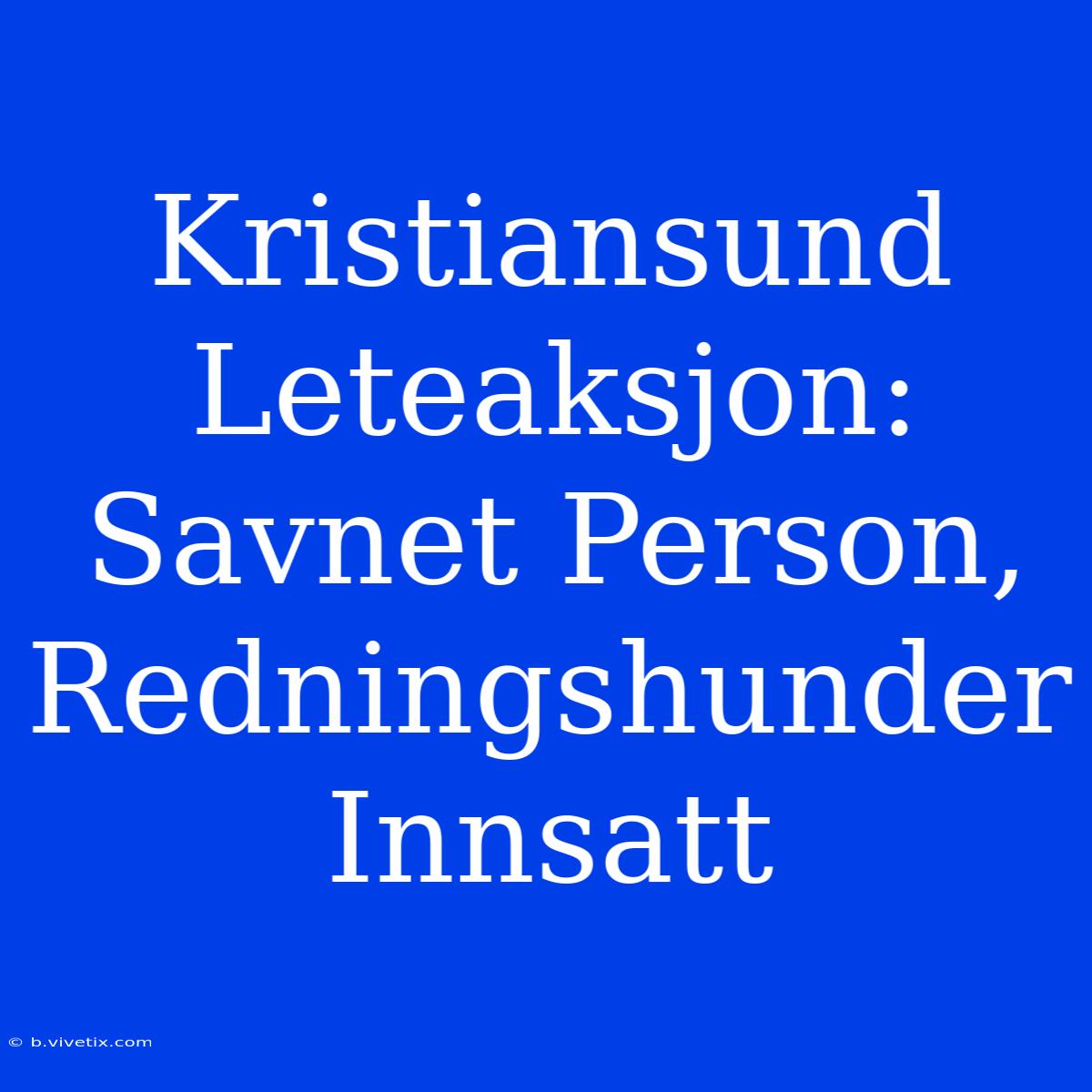 Kristiansund Leteaksjon: Savnet Person, Redningshunder Innsatt