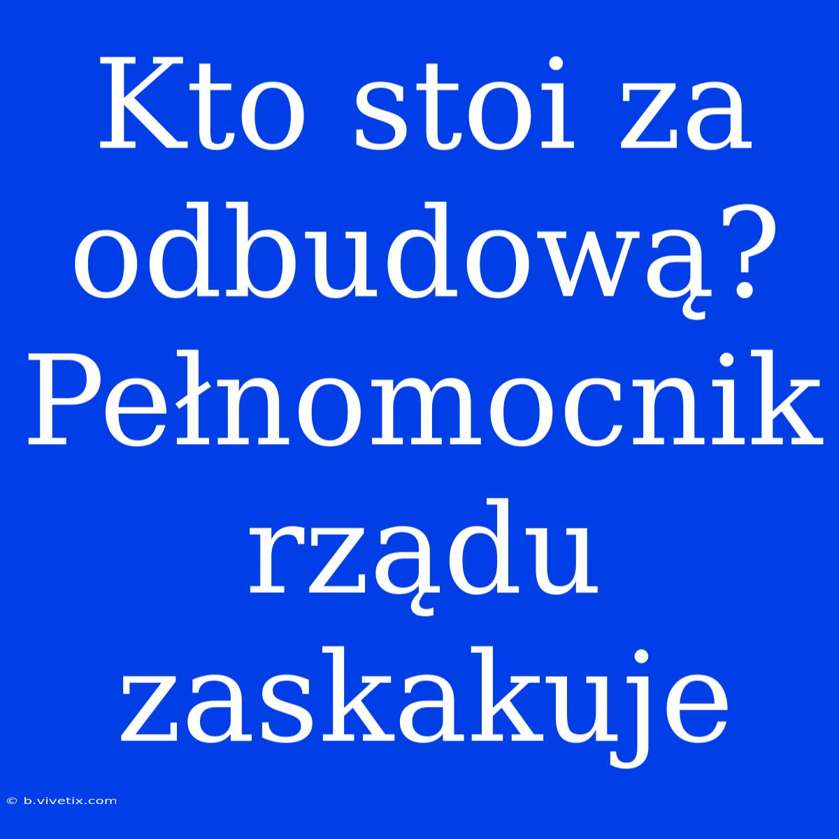 Kto Stoi Za Odbudową? Pełnomocnik Rządu Zaskakuje