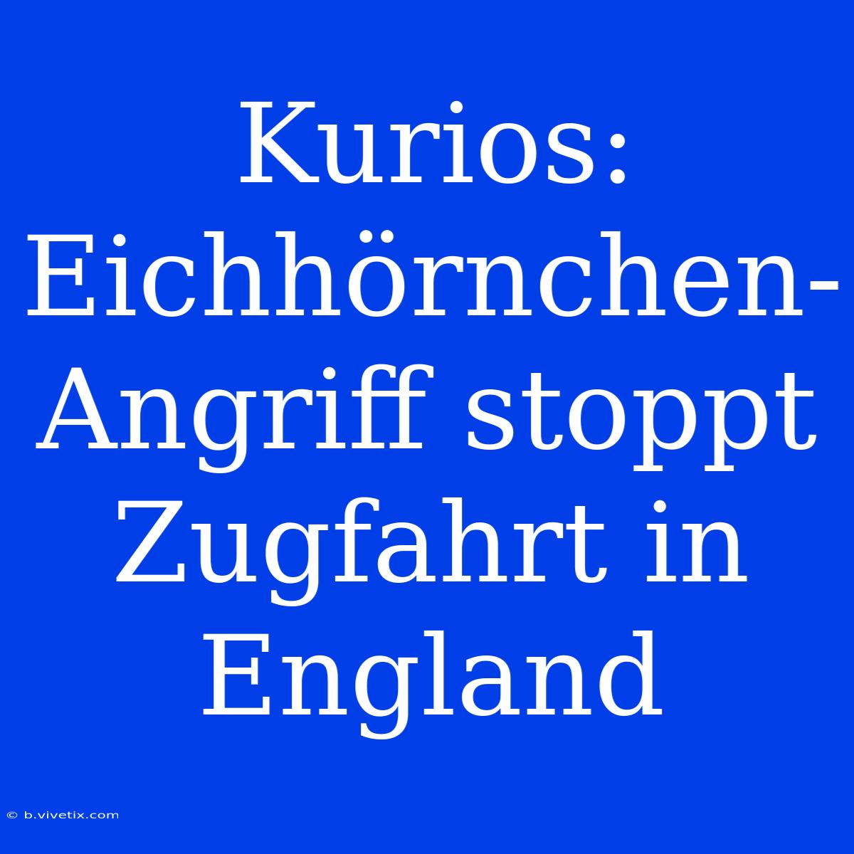 Kurios: Eichhörnchen-Angriff Stoppt Zugfahrt In England