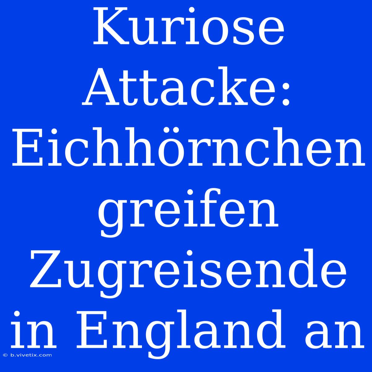 Kuriose Attacke: Eichhörnchen Greifen Zugreisende In England An