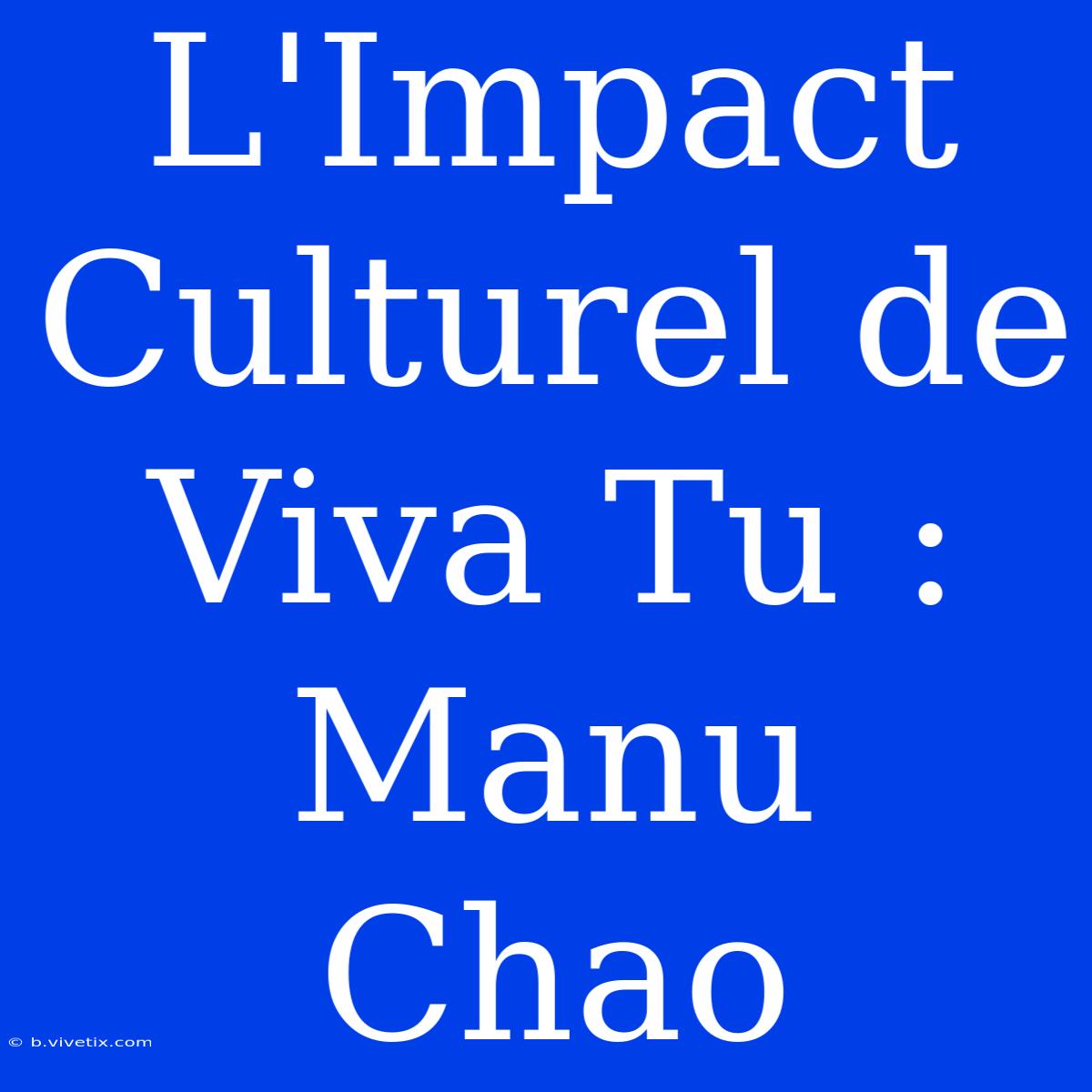 L'Impact Culturel De Viva Tu : Manu Chao