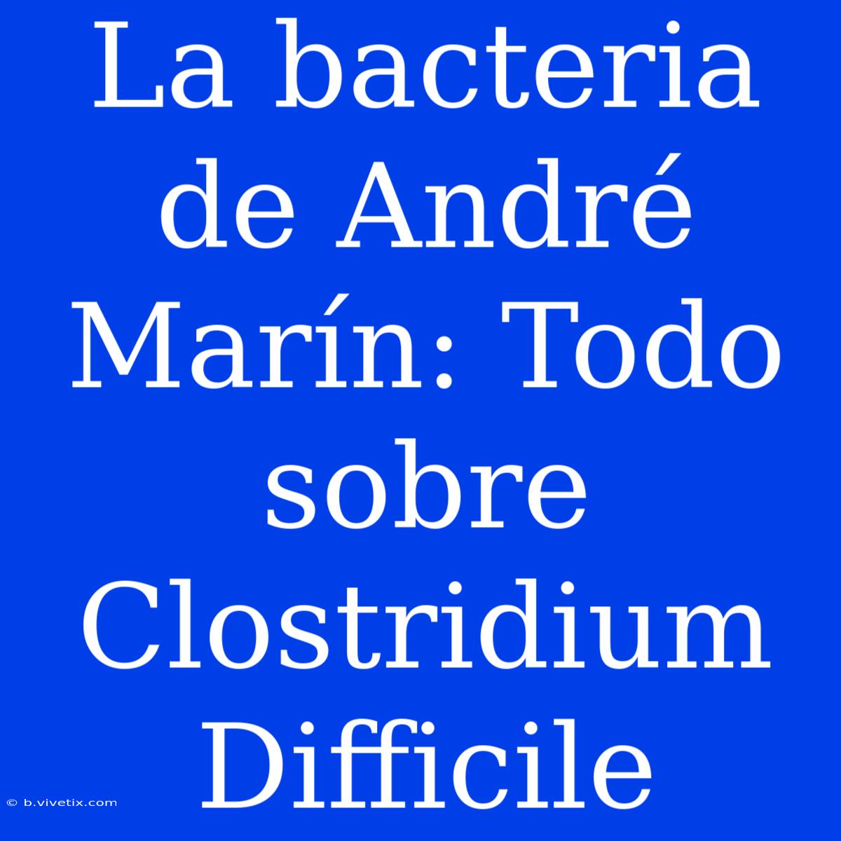 La Bacteria De André Marín: Todo Sobre Clostridium Difficile